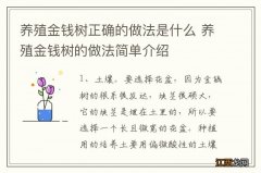 养殖金钱树正确的做法是什么 养殖金钱树的做法简单介绍