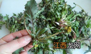 婆婆丁的食用方法 婆婆丁吃法