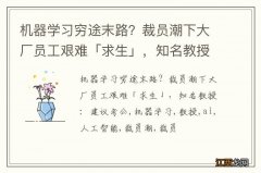 机器学习穷途末路？裁员潮下大厂员工艰难「求生」，知名教授：建议考公