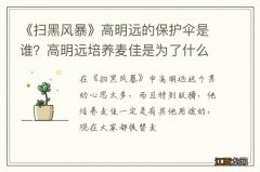 《扫黑风暴》高明远的保护伞是谁？高明远培养麦佳是为了什么？