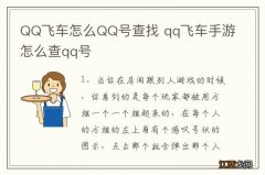 QQ飞车怎么QQ号查找 qq飞车手游怎么查qq号