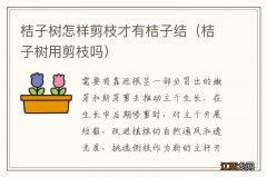 桔子树用剪枝吗 桔子树怎样剪枝才有桔子结