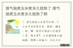 煤气锅煮玉米煮多久就熟了 煤气锅煮玉米煮多久就熟了啊